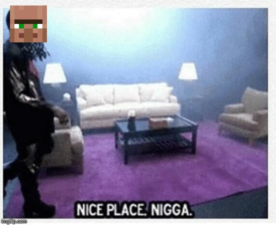 Nice place nigga | image tagged in nice place nigga | made w/ Imgflip meme maker