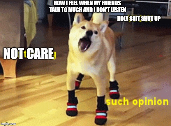 friends | HOW I FEEL WHEN MY FRIENDS TALK TO MUCH AND I DON'T LISTEN; HOLY SHIT SHUT UP; NOT CARE | image tagged in doge | made w/ Imgflip meme maker