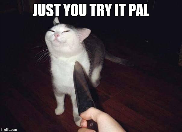 Smug Cat - Knife | JUST YOU TRY IT PAL | image tagged in smug cat - knife | made w/ Imgflip meme maker