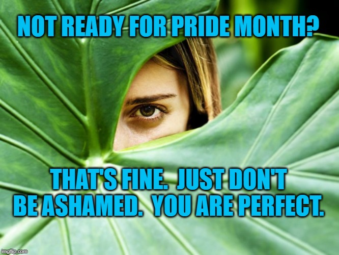 Bashful | NOT READY FOR PRIDE MONTH? THAT'S FINE.  JUST DON'T BE ASHAMED.  YOU ARE PERFECT. | image tagged in identity politics | made w/ Imgflip meme maker