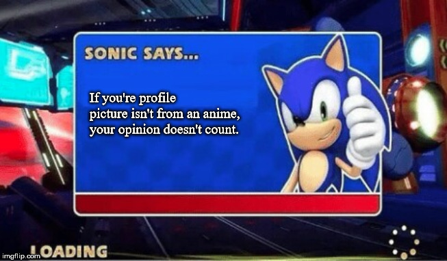Sonic Says | If you're profile picture isn't from an anime, your opinion doesn't count. | image tagged in sonic says | made w/ Imgflip meme maker