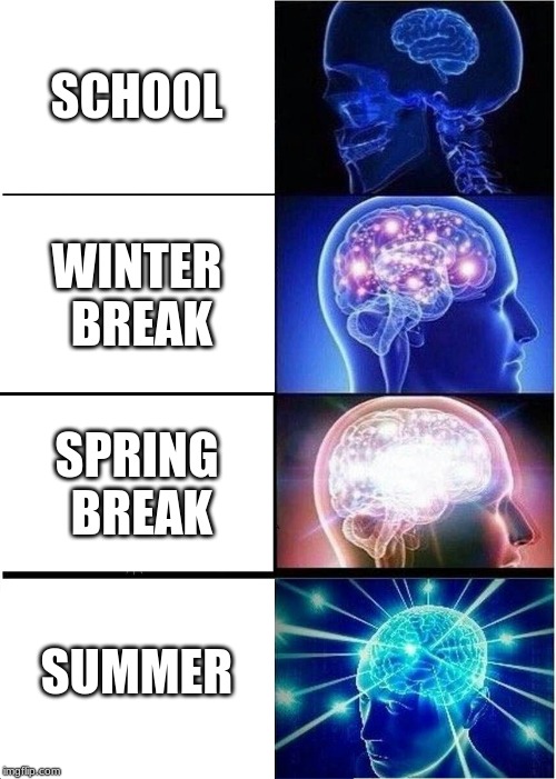school Nooooooooo | SCHOOL; WINTER BREAK; SPRING BREAK; SUMMER | image tagged in memes,expanding brain | made w/ Imgflip meme maker