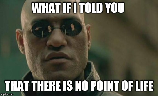 Matrix Morpheus | WHAT IF I TOLD YOU; THAT THERE IS NO POINT OF LIFE | image tagged in memes,matrix morpheus | made w/ Imgflip meme maker