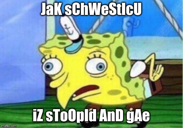 Mocking Spongebob | JaK sChWeStIcU; iZ sToOpId AnD gAe | image tagged in memes,mocking spongebob | made w/ Imgflip meme maker