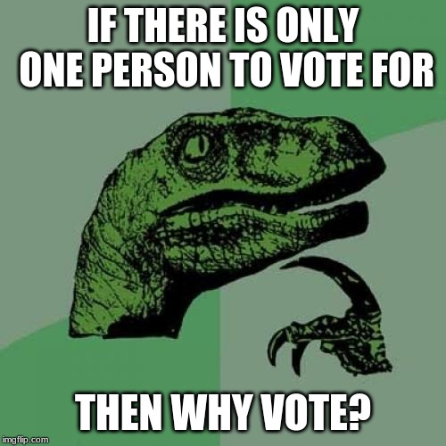 Philosoraptor | IF THERE IS ONLY ONE PERSON TO VOTE FOR; THEN WHY VOTE? | image tagged in memes,philosoraptor | made w/ Imgflip meme maker