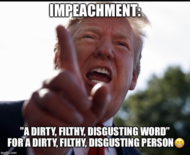 Dirty Filthy Disgusting Donald Trump | IMPEACHMENT:; ”A DIRTY, FILTHY, DISGUSTING WORD” FOR A DIRTY, FILTHY, DISGUSTING PERSON😁 | image tagged in dirty,filthy,disgusting word,donald trump,impeachment,lol | made w/ Imgflip meme maker