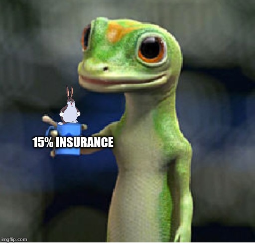 15% INSURANCE | image tagged in memes | made w/ Imgflip meme maker