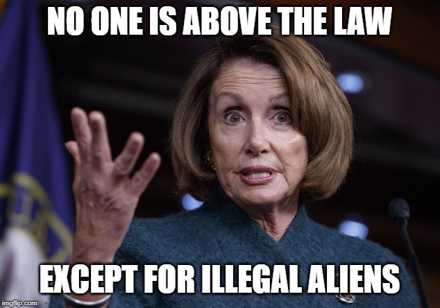 Dim hypocrisy is beyond belief | NO ONE IS ABOVE THE LAW; EXCEPT FOR ILLEGAL ALIENS | image tagged in good old nancy pelosi,liberal hypocrisy,maga | made w/ Imgflip meme maker