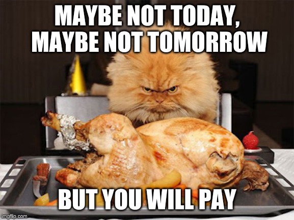 Cat looking at chicken | MAYBE NOT TODAY, MAYBE NOT TOMORROW BUT YOU WILL PAY | image tagged in cat looking at chicken | made w/ Imgflip meme maker