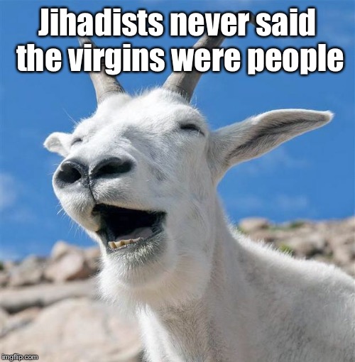 Laughing Goat Meme | Jihadists never said the virgins were people | image tagged in memes,laughing goat | made w/ Imgflip meme maker