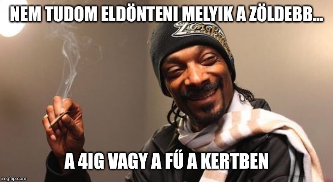 Snoop Dogg | NEM TUDOM ELDÖNTENI MELYIK A ZÖLDEBB... A 4IG VAGY A FŰ A KERTBEN | image tagged in snoop dogg | made w/ Imgflip meme maker