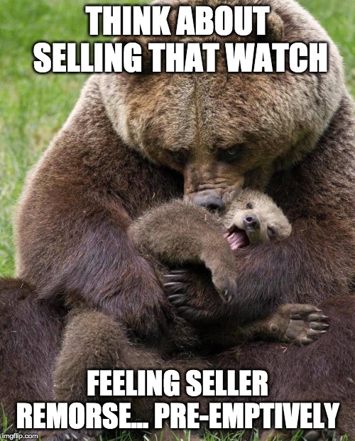 Sell that watch | THINK ABOUT SELLING THAT WATCH; FEELING SELLER REMORSE... PRE-EMPTIVELY | image tagged in fun | made w/ Imgflip meme maker