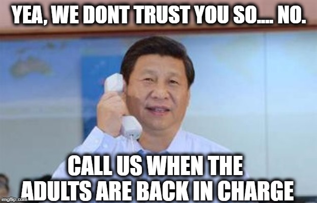 xi jinping | YEA, WE DONT TRUST YOU SO.... NO. CALL US WHEN THE ADULTS ARE BACK IN CHARGE | image tagged in xi jinping | made w/ Imgflip meme maker