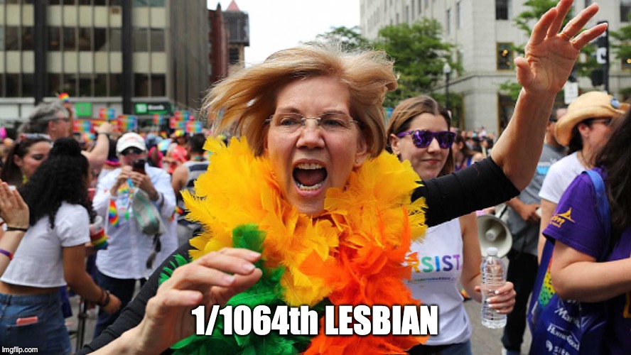 1/1064th LESBIAN | image tagged in gay pride,elizabeth warren | made w/ Imgflip meme maker