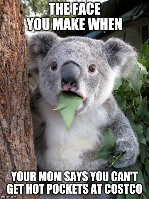 ;-; | THE FACE YOU MAKE WHEN; YOUR MOM SAYS YOU CAN'T GET HOT POCKETS AT COSTCO | image tagged in memes,surprised koala,funny,costco,lol,haha | made w/ Imgflip meme maker