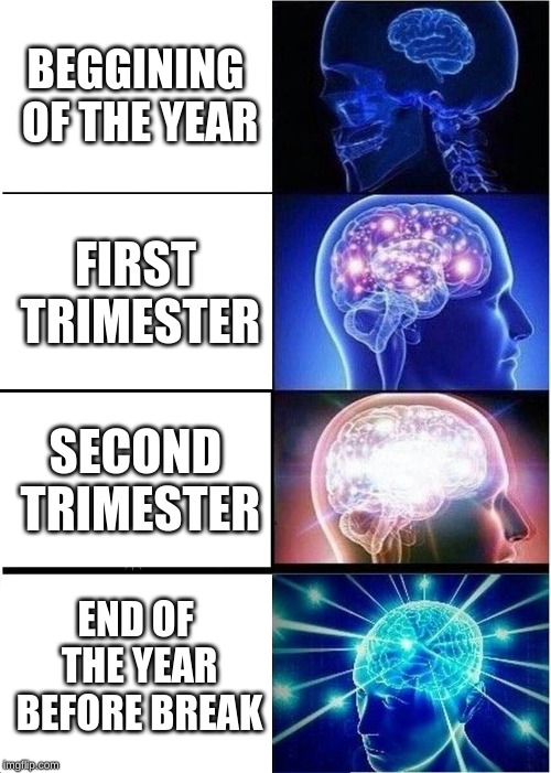 Expanding Brain | BEGGINING OF THE YEAR; FIRST TRIMESTER; SECOND TRIMESTER; END OF THE YEAR BEFORE BREAK | image tagged in memes,expanding brain | made w/ Imgflip meme maker