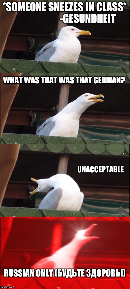 Inhaling Seagull | *SOMEONE SNEEZES IN CLASS* 
                       -GESUNDHEIT; WHAT WAS THAT WAS THAT GERMAN? UNACCEPTABLE; RUSSIAN ONLY (БУДЬТЕ ЗДОРОВЫ) | image tagged in memes,inhaling seagull | made w/ Imgflip meme maker