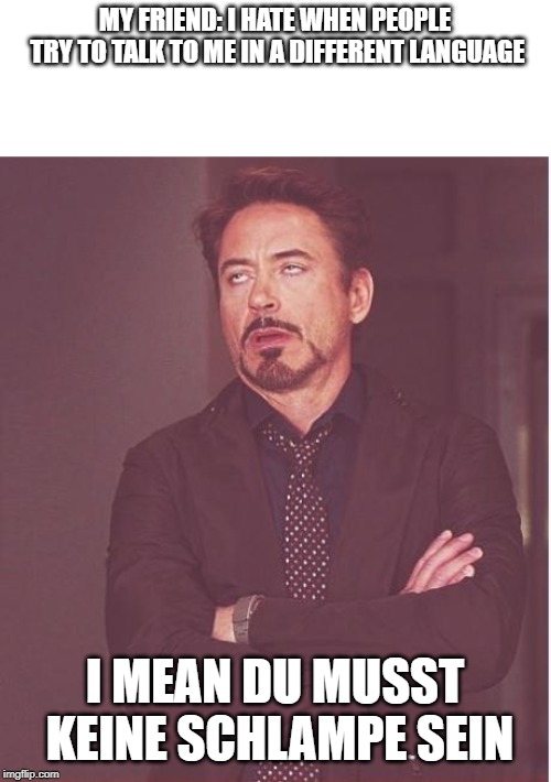 Face You Make Robert Downey Jr | MY FRIEND: I HATE WHEN PEOPLE TRY TO TALK TO ME IN A DIFFERENT LANGUAGE; I MEAN DU MUSST KEINE SCHLAMPE SEIN | image tagged in memes,face you make robert downey jr | made w/ Imgflip meme maker