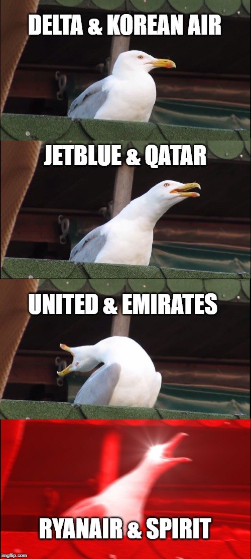 Ridiculous airline cooperation | DELTA & KOREAN AIR; JETBLUE & QATAR; UNITED & EMIRATES; RYANAIR & SPIRIT | image tagged in memes,inhaling seagull,airplane,airlines,aviation | made w/ Imgflip meme maker