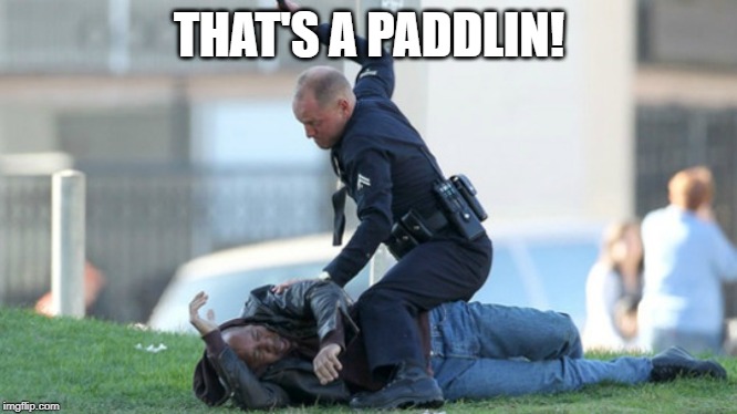 Cop Beating | THAT'S A PADDLIN! | image tagged in cop beating | made w/ Imgflip meme maker