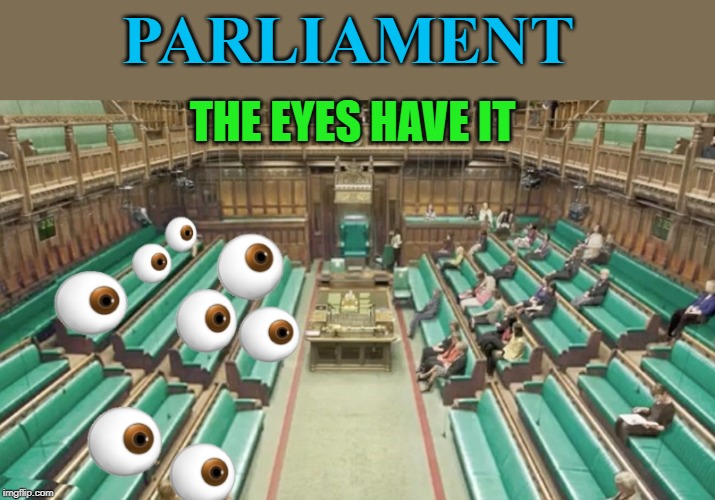 how parliament works | PARLIAMENT; THE EYES HAVE IT | image tagged in eyes,parliament,funny | made w/ Imgflip meme maker