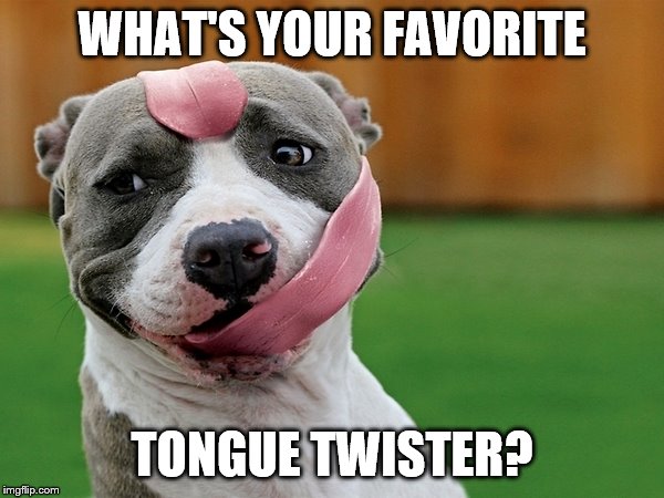 Dog tongue | WHAT'S YOUR FAVORITE; TONGUE TWISTER? | image tagged in dog tongue | made w/ Imgflip meme maker