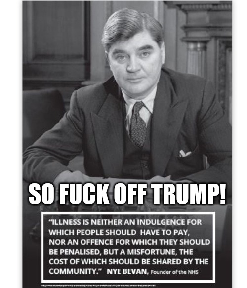 NHS NOT FOR SALE | SO FUCK OFF TRUMP! | image tagged in donald trump,trump,memes,trump meme | made w/ Imgflip meme maker