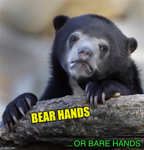 Confession Bear Meme | BEAR HANDS .. OR BARE HANDS | image tagged in memes,confession bear | made w/ Imgflip meme maker