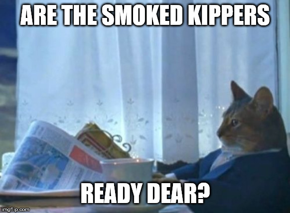 Kippers | ARE THE SMOKED KIPPERS; READY DEAR? | image tagged in memes,i should buy a boat cat,kippers,fish,cat | made w/ Imgflip meme maker