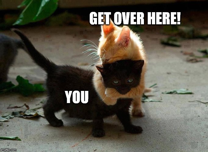 kitten hug | GET OVER HERE! YOU | image tagged in kitten hug | made w/ Imgflip meme maker