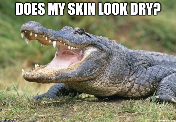 Alligator face | DOES MY SKIN LOOK DRY? | image tagged in alligator face | made w/ Imgflip meme maker