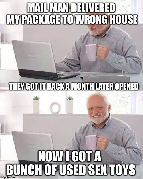 How about no, Just pay me the value instead and don't make eye contact | MAIL MAN DELIVERED MY PACKAGE TO WRONG HOUSE; THEY GOT IT BACK A MONTH LATER OPENED; NOW I GOT A BUNCH OF USED SEX TOYS | image tagged in memes,hide the pain harold | made w/ Imgflip meme maker