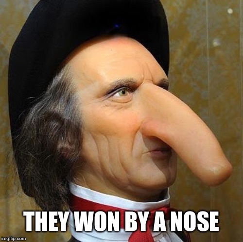 funny nose | THEY WON BY A NOSE | image tagged in funny nose | made w/ Imgflip meme maker