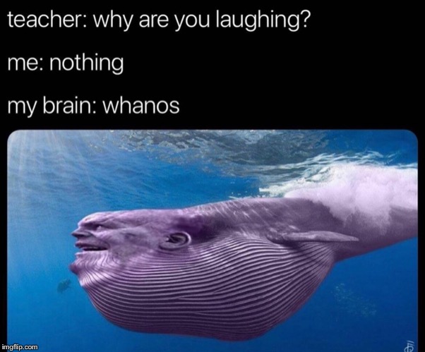 Found this today on the internet. | image tagged in thanos,avengers endgame,funny,whale | made w/ Imgflip meme maker