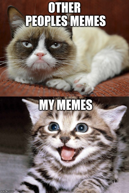 What other people's memes are like. | OTHER PEOPLES MEMES; MY MEMES | image tagged in grumpy cat,my memes,memes | made w/ Imgflip meme maker