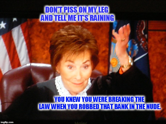 DON'T PISS ON MY LEG AND TELL ME IT'S RAINING; YOU KNEW YOU WERE BREAKING THE LAW WHEN YOU ROBBED THAT BANK IN THE NUDE. | image tagged in judge judy,nude,robbery | made w/ Imgflip meme maker