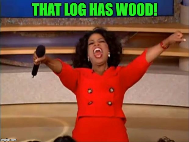 Oprah You Get A Meme | THAT LOG HAS WOOD! | image tagged in memes,oprah you get a | made w/ Imgflip meme maker