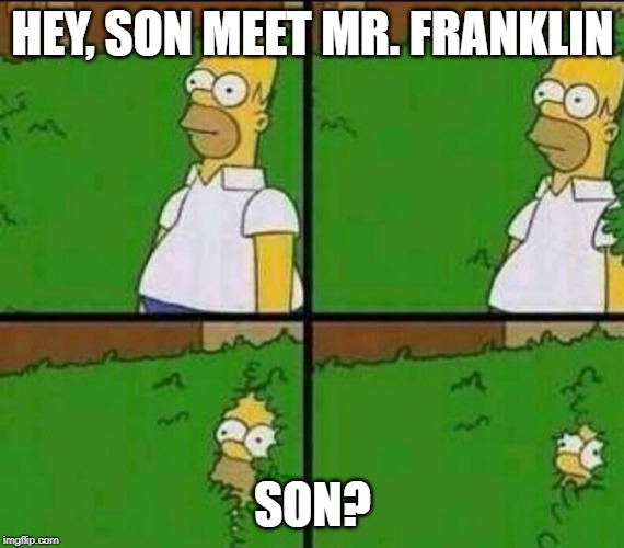 Homer Simpson in Bush - Large | HEY, SON MEET MR. FRANKLIN; SON? | image tagged in homer simpson in bush - large | made w/ Imgflip meme maker