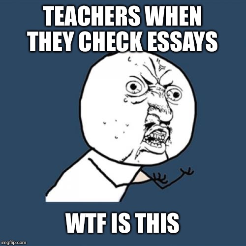 Y U No | TEACHERS WHEN THEY CHECK ESSAYS; WTF IS THIS | image tagged in memes,y u no | made w/ Imgflip meme maker