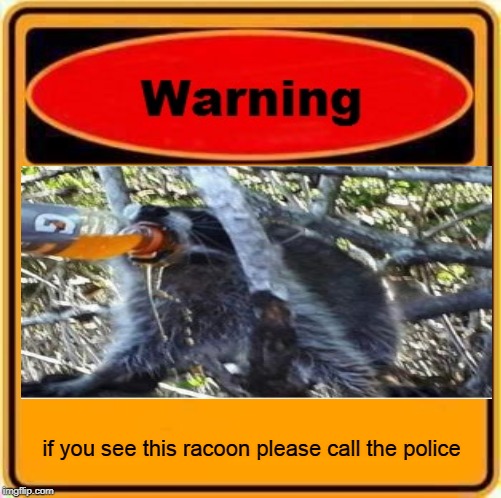 Warning Sign | if you see this racoon please call the police | image tagged in memes,warning sign | made w/ Imgflip meme maker