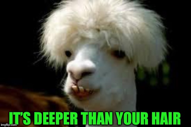 bad hair day llama | IT’S DEEPER THAN YOUR HAIR | image tagged in bad hair day llama | made w/ Imgflip meme maker