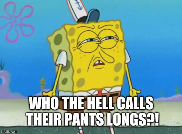 Angry Spongebob | WHO THE HELL CALLS THEIR PANTS LONGS?! | image tagged in angry spongebob | made w/ Imgflip meme maker