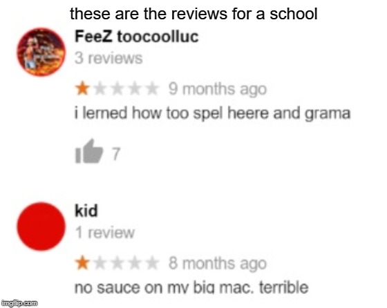 reviews for schools | these are the reviews for a school | image tagged in school,review | made w/ Imgflip meme maker