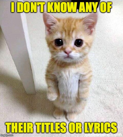Cute Cat Meme | I DON'T KNOW ANY OF THEIR TITLES OR LYRICS | image tagged in memes,cute cat | made w/ Imgflip meme maker