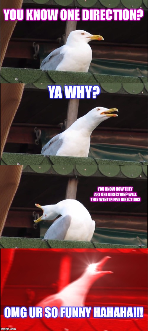 Inhaling Seagull Meme | YOU KNOW ONE DIRECTION? YA WHY? YOU KNOW HOW THEY ARE ONE DIRECTION? WELL THEY WENT IN FIVE DIRECTIONS; OMG UR SO FUNNY HAHAHA!!! | image tagged in memes,inhaling seagull | made w/ Imgflip meme maker