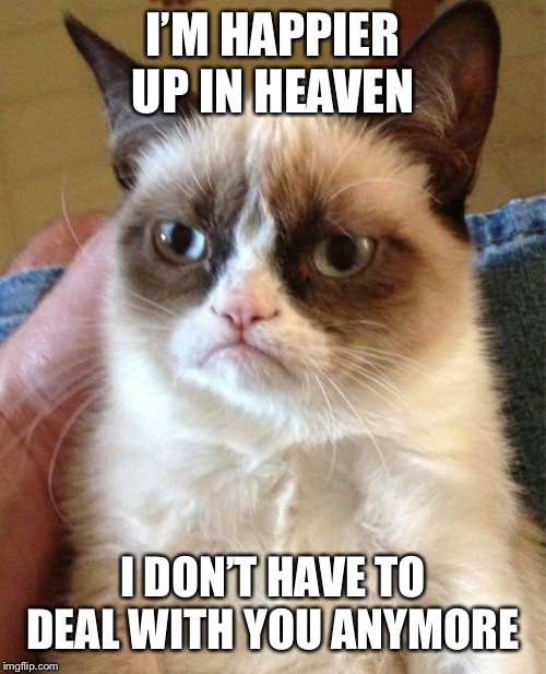 but she can still laugh at ur stupidity... | I’M HAPPIER UP IN HEAVEN; I DON’T HAVE TO DEAL WITH YOU ANYMORE | image tagged in memes,grumpy cat | made w/ Imgflip meme maker