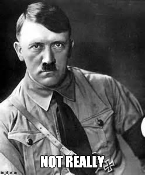 Adolf Hitler | NOT REALLY | image tagged in adolf hitler | made w/ Imgflip meme maker