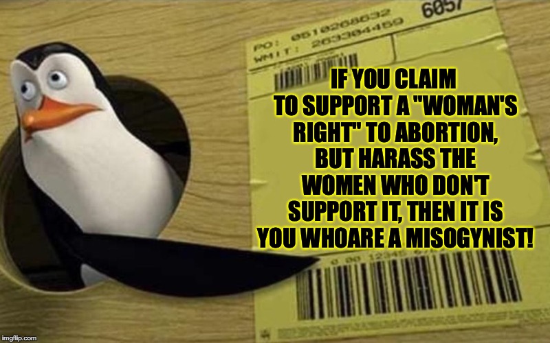 Truth bomb! | IF YOU CLAIM TO SUPPORT A "WOMAN'S RIGHT" TO ABORTION, BUT HARASS THE WOMEN WHO DON'T SUPPORT IT, THEN IT IS YOU WHOARE A MISOGYNIST! | image tagged in kowalski,memes,abortion,brian sims,politics,hypocrisy | made w/ Imgflip meme maker