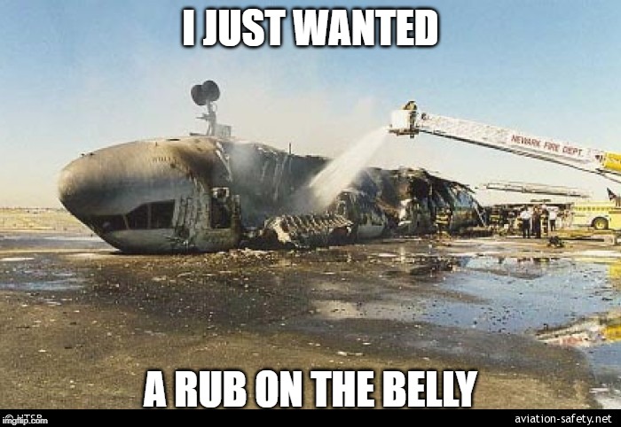 FedEx Cargo Flight 80 | I JUST WANTED; A RUB ON THE BELLY | image tagged in meme,funny meme,aviation,airplane,accident,plane crash | made w/ Imgflip meme maker