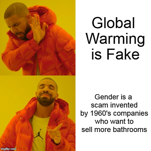 Which theory is stupider? | Global Warming is Fake; Gender is a scam invented by 1960's companies who want to sell more bathrooms | image tagged in memes,drake hotline bling | made w/ Imgflip meme maker